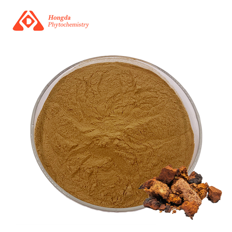 Organic Chaga Mushroom Extract
